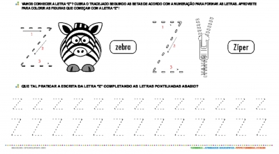 Letra Z de forma maiúscula e minúscula